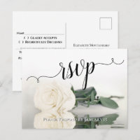 Elegante Reflektion der weißen Elfenbein-Rose Hoch