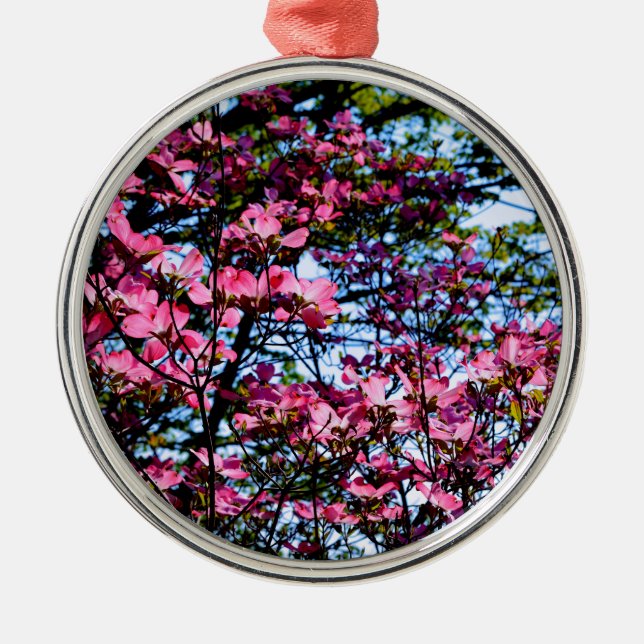 Elegante Rosa Blume Blüten blühen Dogwood Silbernes Ornament (Vorne)