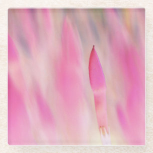 Elegante rosa Blume Print Untersetzer