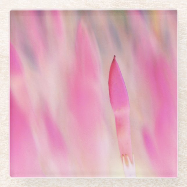 Elegante rosa Blume Print Untersetzer (Vorderseite)