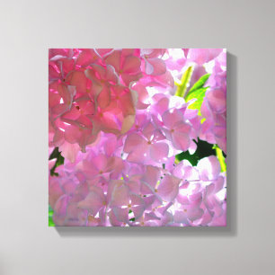 Elegante Rosa Boho Blumen Blume Hydrangeas Leinwanddruck