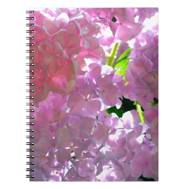 Elegante Rosa Boho Blumen Blume Hydrangeas Notizblock (Vorderseite)