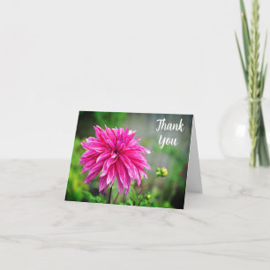 Elegante Rosa Dahlia Garden Blume Dankeskarte