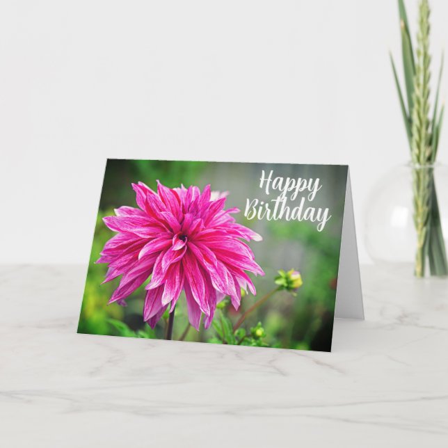 Elegante Rosa Dahlia Garden Blume Karte (Vorderseite)