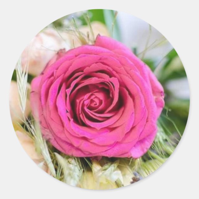 Elegante Rosa Garden Rose Florenz Blume Runder Aufkleber (Vorderseite)