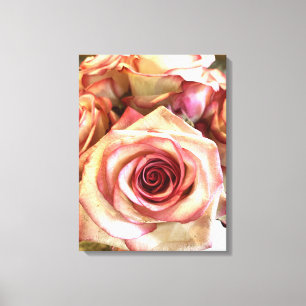 Elegante rosa geränderte weiße Rosen Foto Leinwand