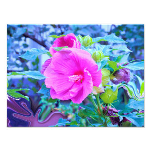 Elegante rosa Hibiskusblüte mit aquafarbenem Laub Fotodruck