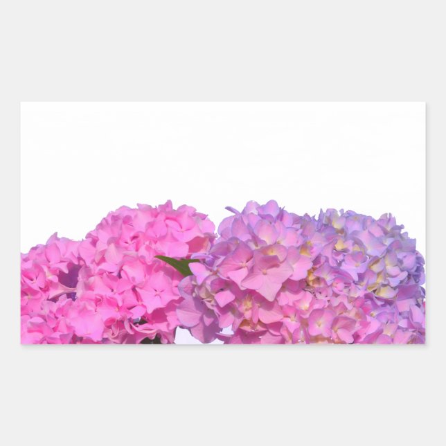 Elegante, rosa, lila Blumendörfchen Hydrangeas Rechteckiger Aufkleber (Vorderseite)