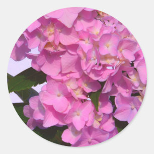 Elegante, rosa, lila Blumendörfchen Hydrangeas Runder Aufkleber