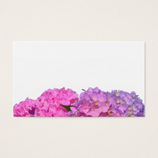 Elegante, rosa, lila, blumenreiche Hydrangeas (Vorderseite)