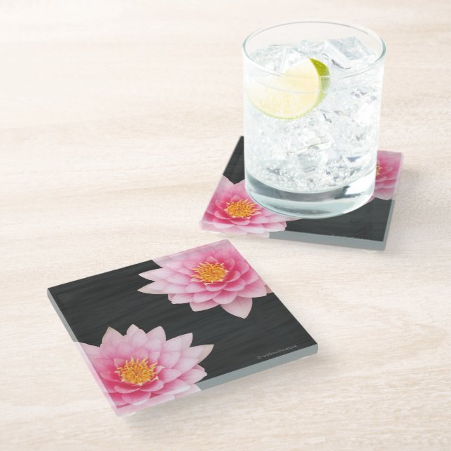Elegante Rosa Lotus-Blume Glasuntersetzer (Schrägansicht)