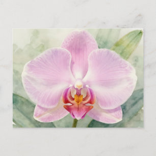 Elegante rosa Orchideen-Aquarell-Botanik-Blumen Postkarte