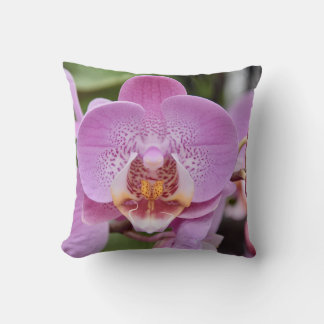 Elegante rosa Orchideen-Blumen-Natur Nahaufnahme-W Kissen