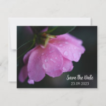 Elegante Rosa Rose mit Taub Save the Date Nah