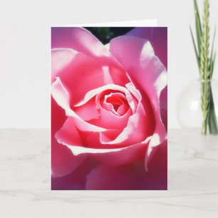 Elegante Rosa Roses Valentine Card Feiertagskarte