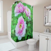 Elegante Rosa Tree Peony Blume mit Gelbzentrum