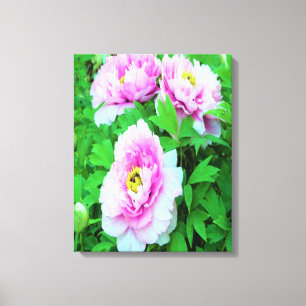 Elegante Rosa Tree Peony Blume mit Gelbzentrum Leinwanddruck