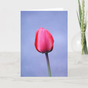 Elegante rosa Tulpe Lavendel Hintergrund Blanko Karte