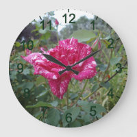 Elegante rosa und weiß gestreifte Rose, Wall-Uhr