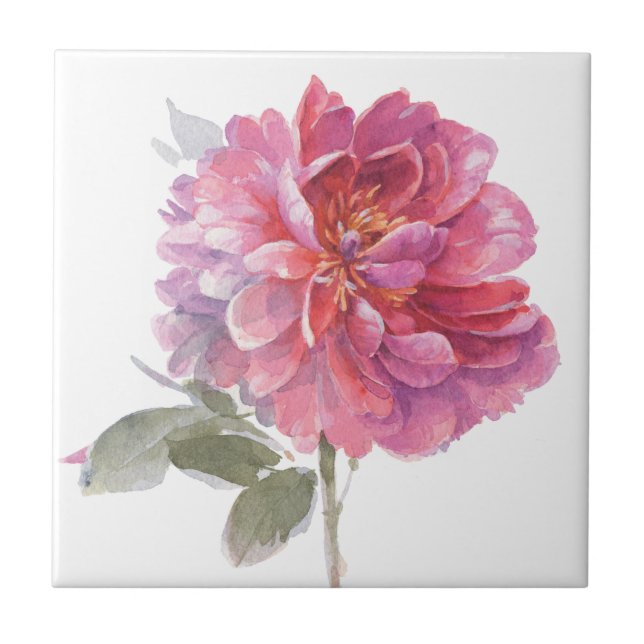 Elegante rosa Wasserfarbe Fliese (Vorderseite)