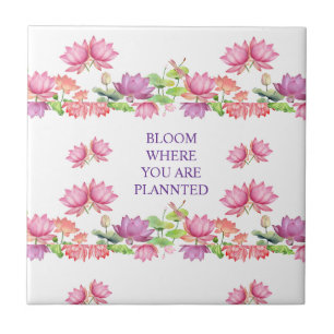 Elegante rosa Wasserfarbe-Lotos-Blumenmuster Fliese