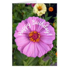 Elegante Rosa Zinnia Blume Geburtstagskarte