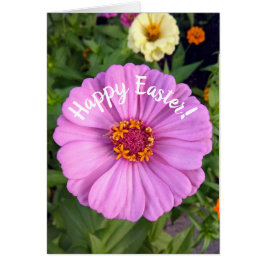 Elegante Rosa Zinnia Blume Osterkarte