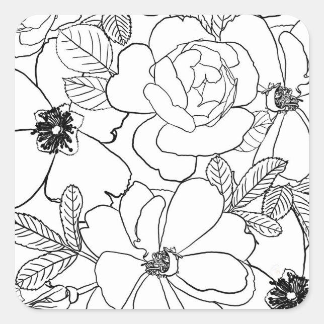 Elegante Rose Blumenlinie Zeichnend Design Quadratischer Aufkleber (Vorderseite)