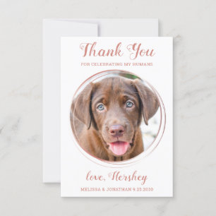 Elegante Rose Gold Custom Dog Foto Haustier Hochze Dankeskarte