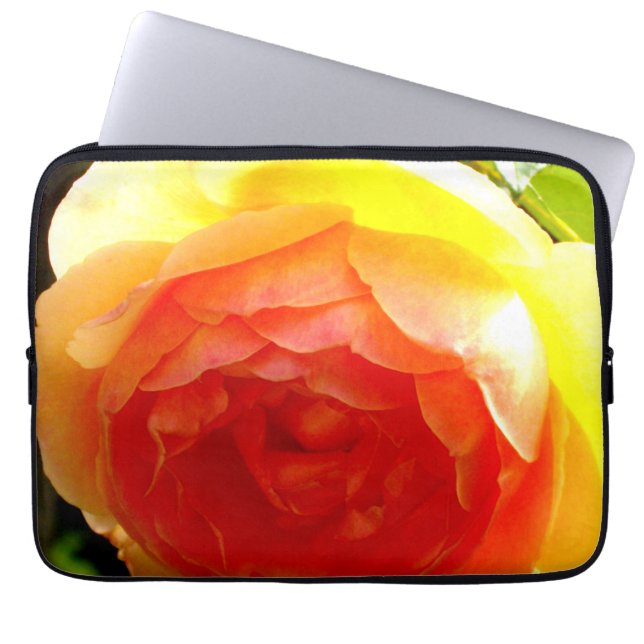 Elegante Rose mit roten Aprikosen/Marillen Laptopschutzhülle (Vorderseite)