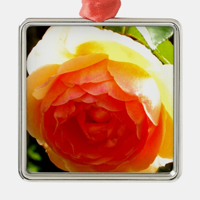Elegante Rose mit roten Aprikosen/Marillen Ornament Aus Metall (Vorne)