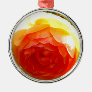 Elegante Rose mit roten Aprikosen/Marillen Silbernes Ornament