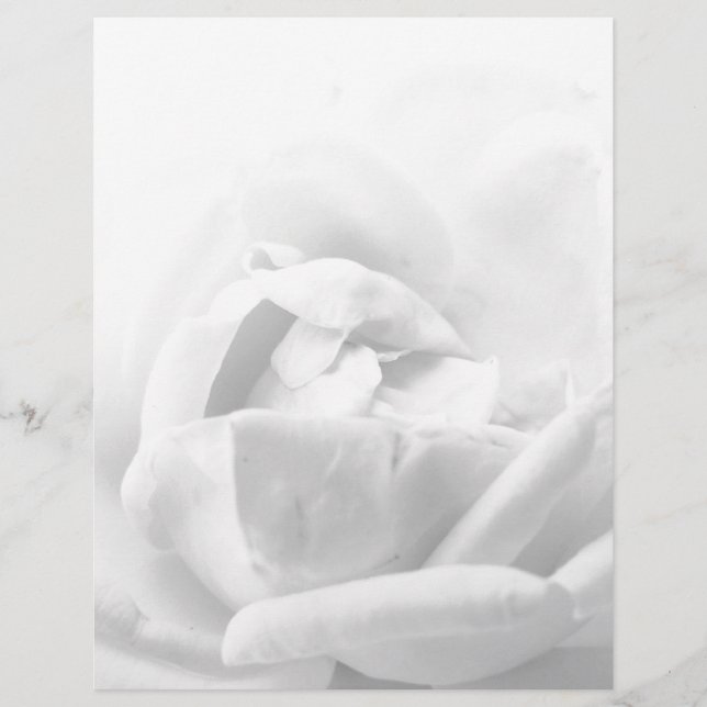 Elegante Rosen-Blume Blumenschwarzweiss-girly Briefbogen (Vorderseite)