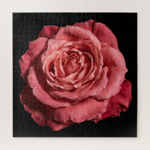 Elegante Rosensammlung auf Schwarz