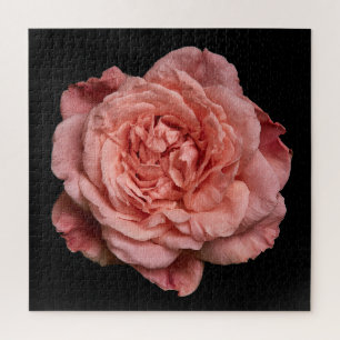 Elegante Rosensammlung auf Schwarz