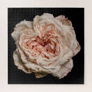 Elegante Rosensammlung auf Schwarz