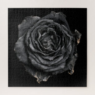 Elegante Rosensammlung auf Schwarz