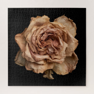 Elegante Rosensammlung auf Schwarz