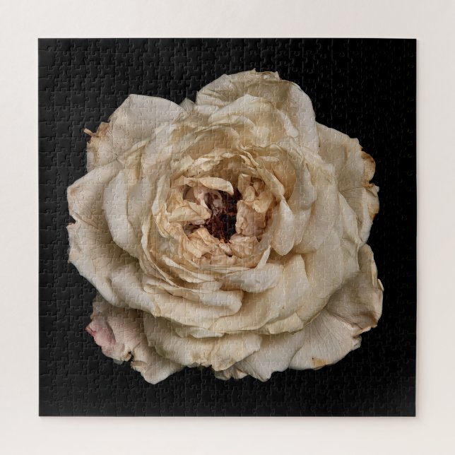 Elegante Rosensammlung auf Schwarz (Vertikal)