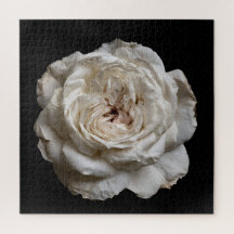 Elegante Rosensammlung auf Schwarz