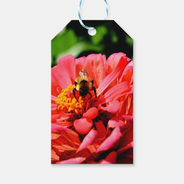 Elegante Rote Blütenkoralle Zinnia Hummel Geschenkanhänger (Vorderseite)