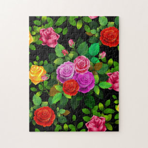 Elegante rote gelbe rosa und violette Rosenblume