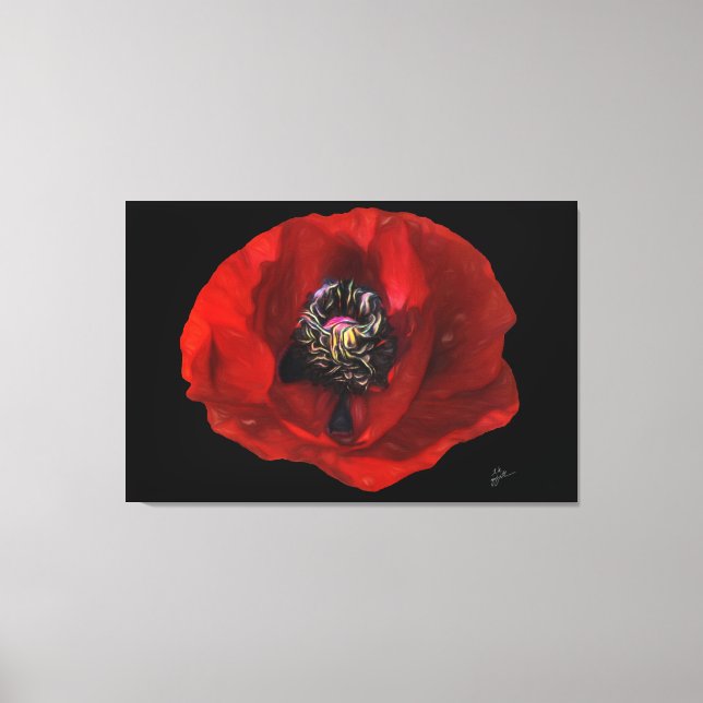 Elegante Rote Mohnblume Blume im Schwarzen Hinterg Leinwanddruck (Vorderseite)
