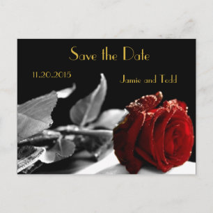 Elegante Rote Rose Save the Date Ankündigungspostkarte
