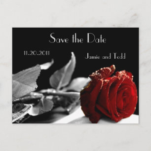 Elegante Rote Rose Save the Date Ankündigungspostkarte