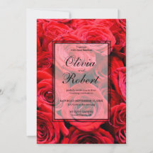 Elegante rote Rosen Rote Blume Rote Blüte