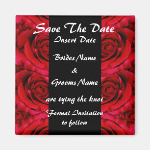 Elegante rote Rosen speichern Datumsmagnete Magnet
