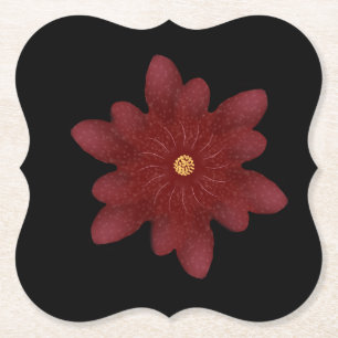 Elegante rote Samtblume auf Schwarz   Dunkle Blume Untersetzer