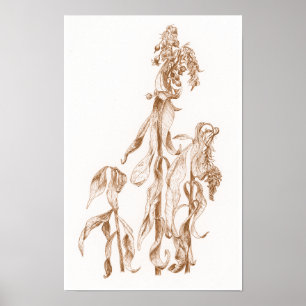 Elegante saisonale botanische Tinten-Kunst-Wandpos Poster