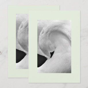Elegante Schwan Einladungen 12x18 für Hochzeiten e